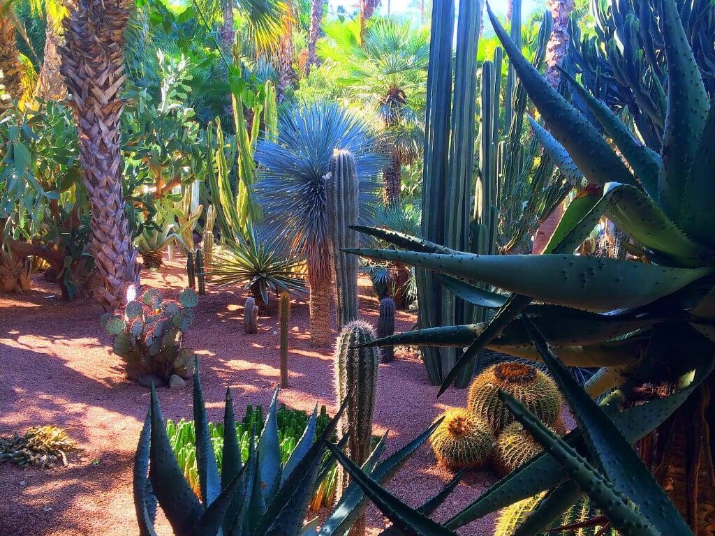 Majorelle Garden in Marrakech — private Morocco tour stop