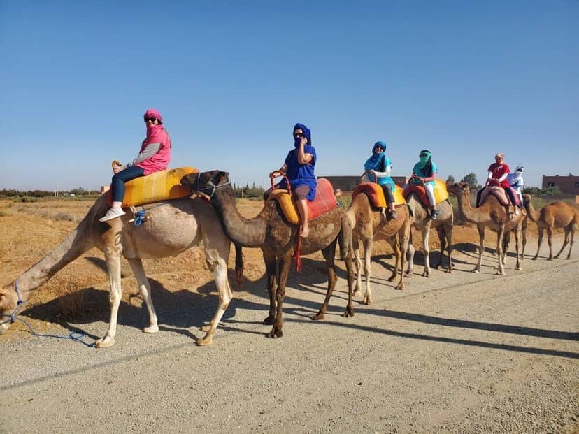 Best Private Morocco Tours for Families