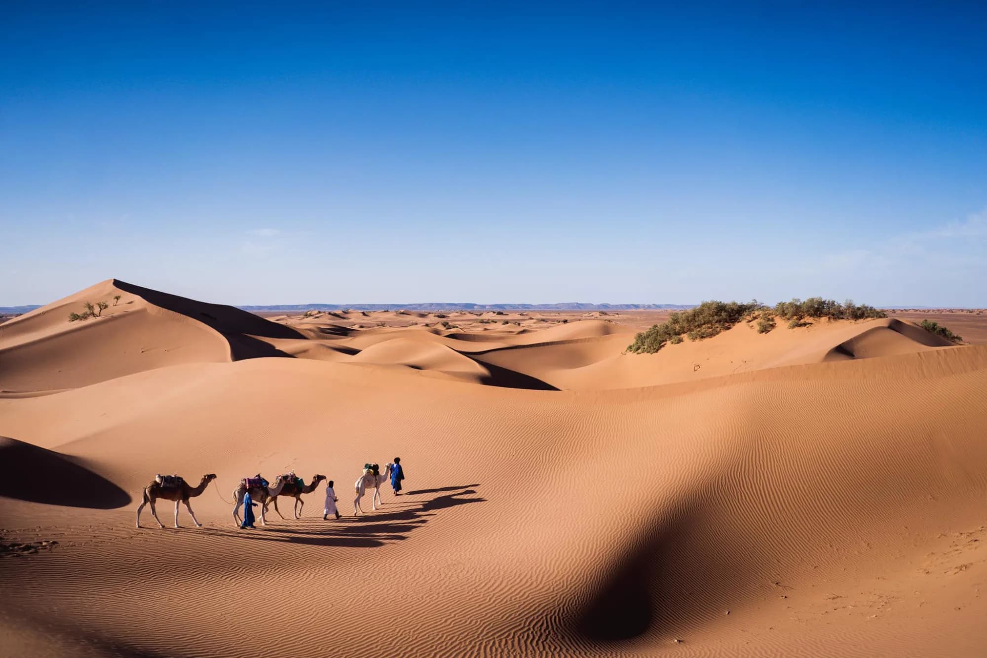 Sahara (mobile camp), Morocco