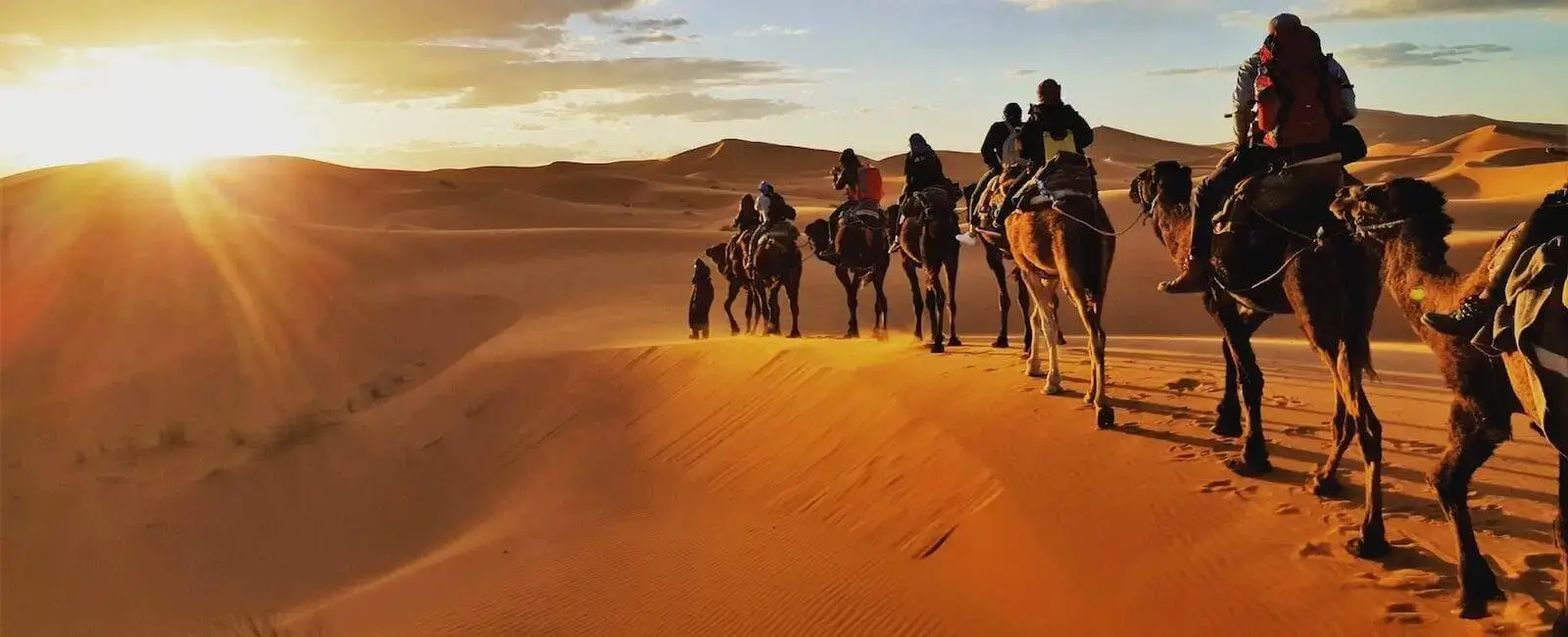 The Sahara — Erg Chebbi