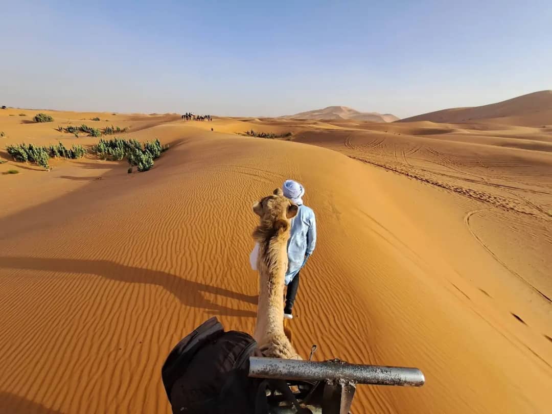 View from a camel following a cameleer across the Erg Chebbi dunes at Merzouga
