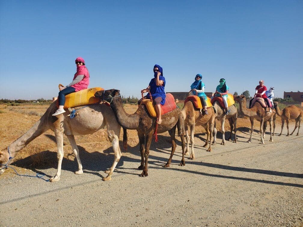Best Private Morocco Tours for Families