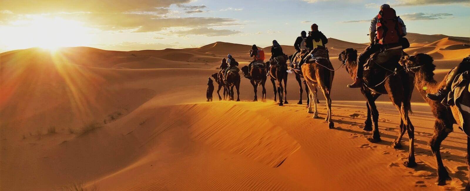 Sunset camel ride in Merzouga Sahara on a private Morocco tour