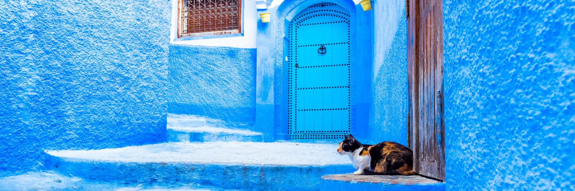 Chefchaouen Private Tour: The Blue City Beyond the Instagram Photos
