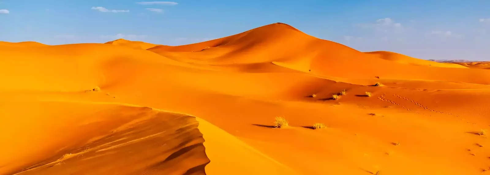 Golden sand dunes of Erg Chebbi near Merzouga in the Sahara Desert, with soft ripples and high peaks glowing in the warm sunlight.