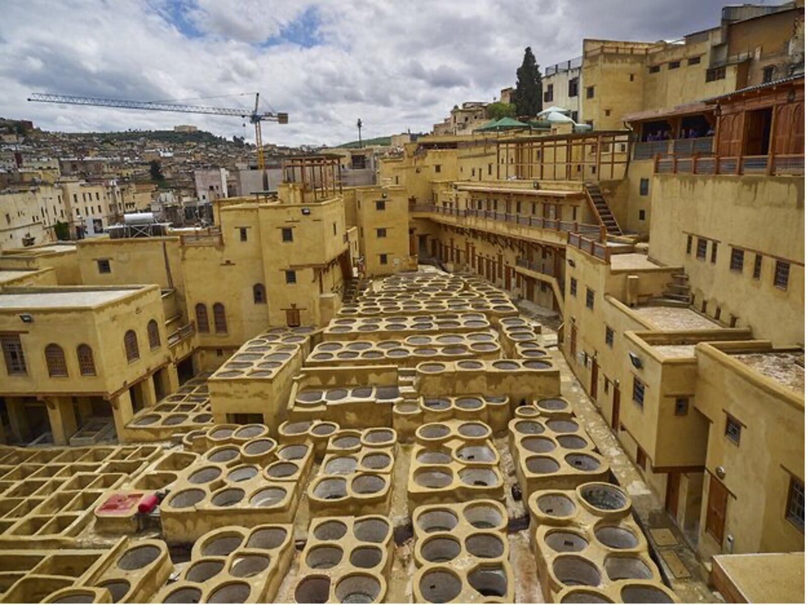 Chouara Tannery Fez