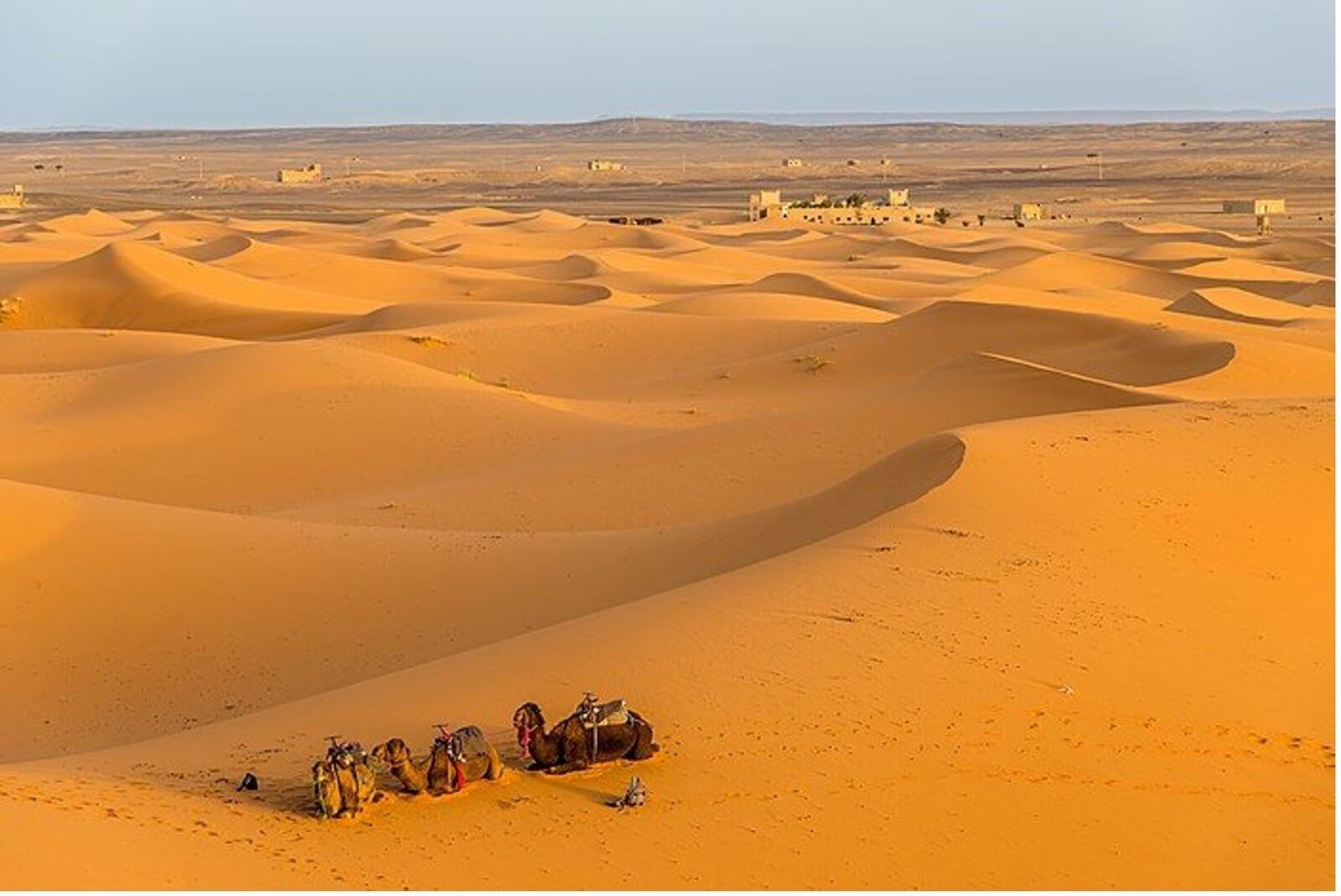 merzouga