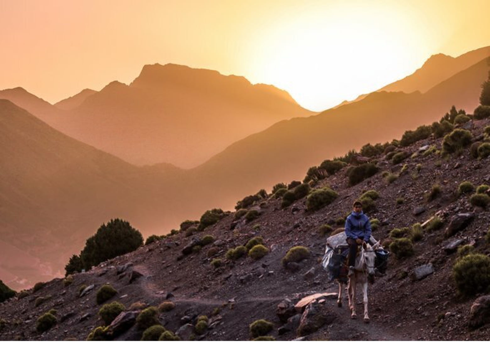 national park toubkal