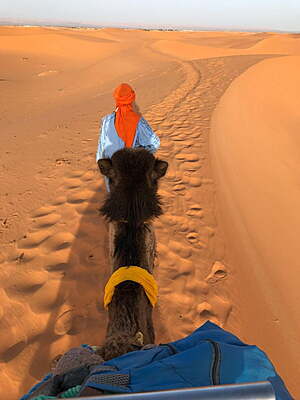 map of morocco showing morocco tour that starts in tangier then drive to chefchaouen and into fes, the sahara desert and end sin marrakech