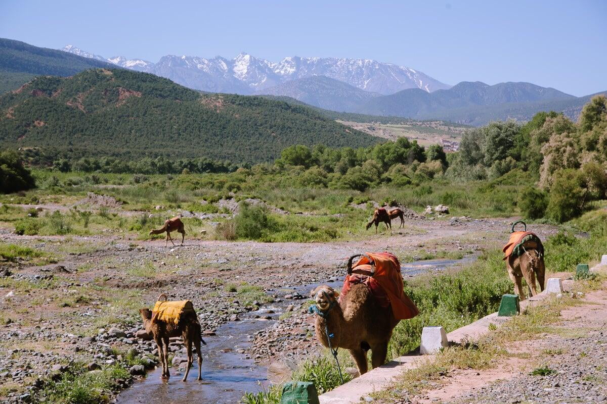 8 Best Places To Visit In The Atlas Mountains